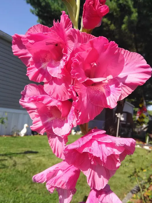 Brentwood Manor Inc 4