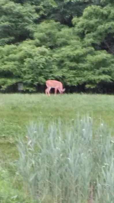 Brentwood Manor Inc 2