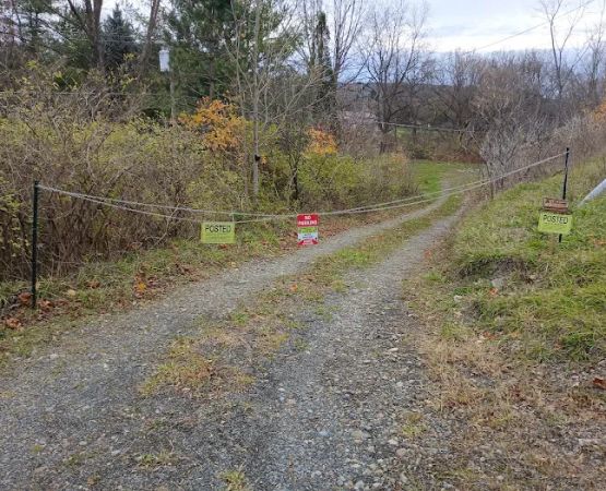 Riverfront Campsites