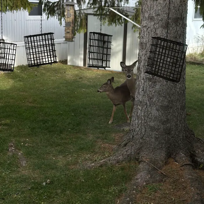 Nate's Floral Estates 2