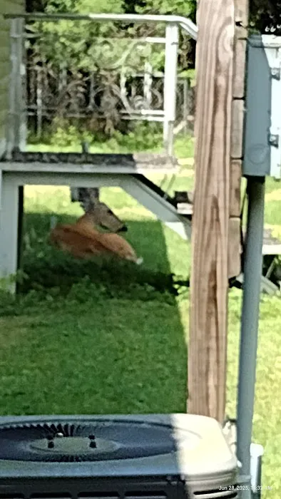 Nate's Floral Estates 1