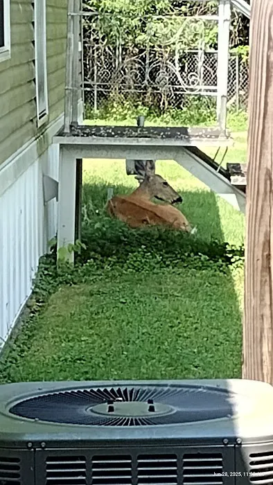 Nate's Floral Estates 7