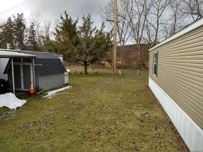 Nate's Floral Estates 6