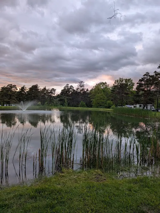 Pinecreek Campground 4