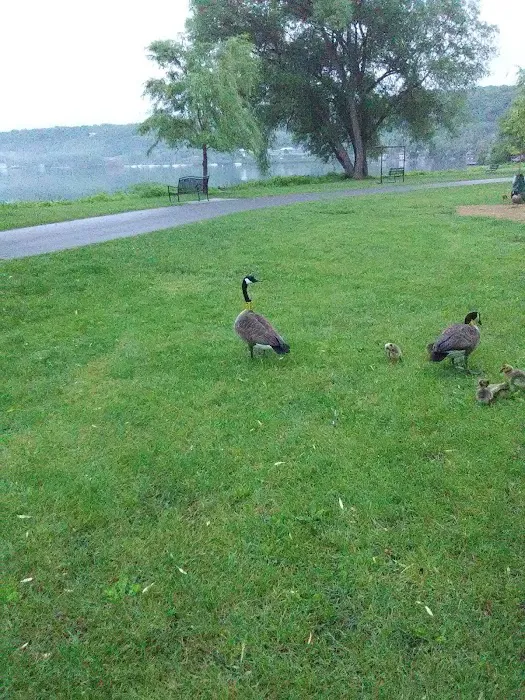 Hanshaw Village Mobile Home Park 6