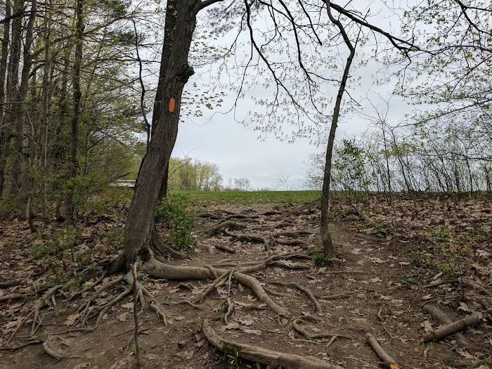 Hanshaw Village Mobile Home Park 1