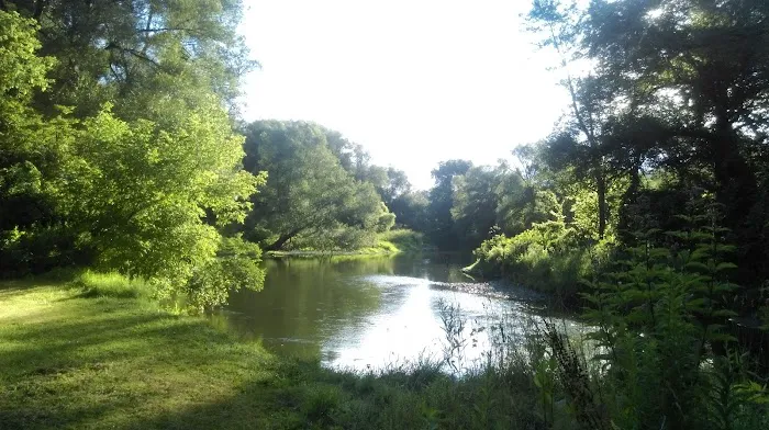 Yellow Lantern Kamp Grounds 0