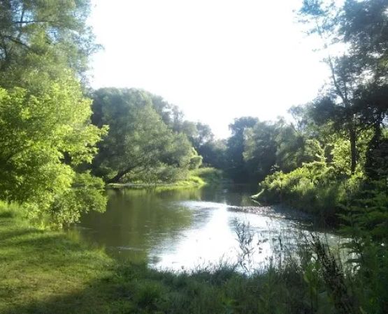 Yellow Lantern Kamp Grounds