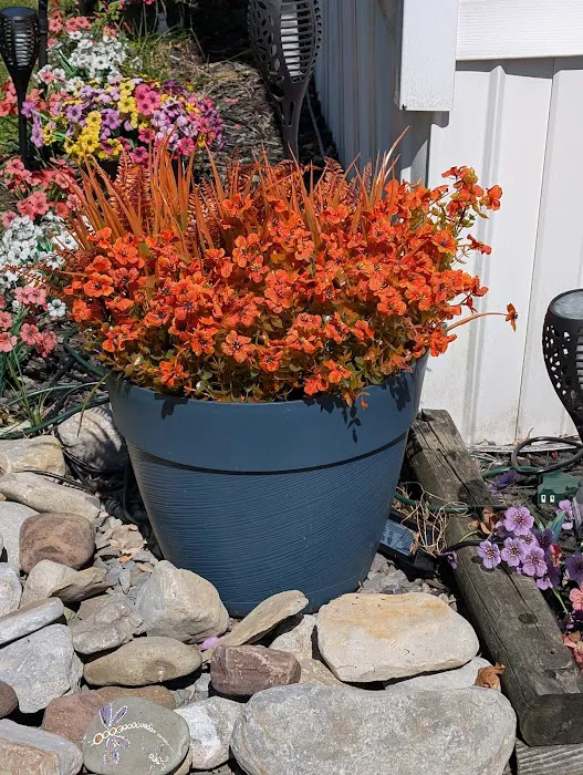 Tall Pines Village 1