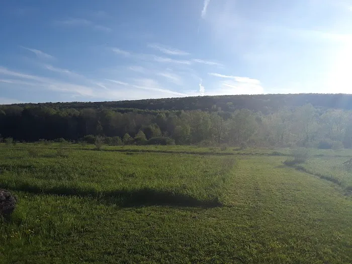 Hidden Hills Country Homes 1