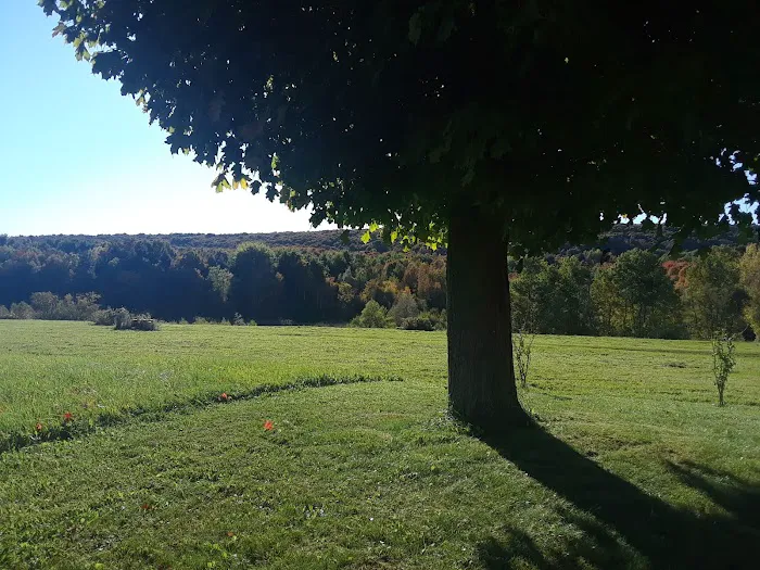 Hidden Hills Country Homes 8