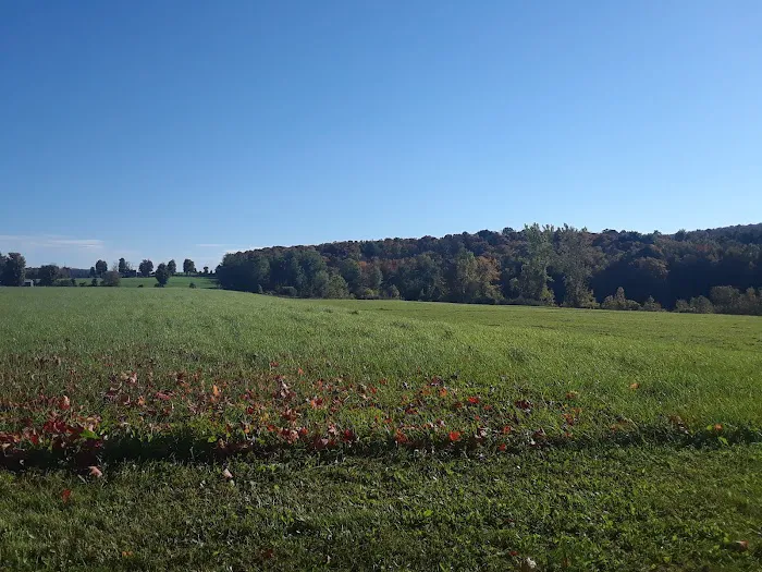 Hidden Hills Country Homes 4