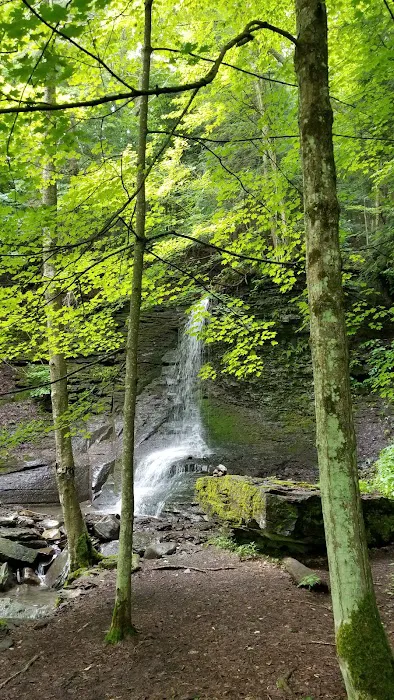Otisco Lake Campgrounds and Marina 4