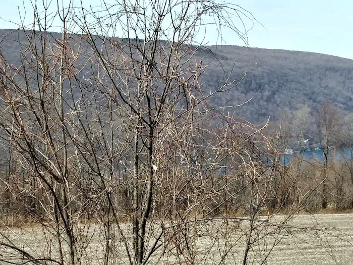 Cottage At Glen Haven 0