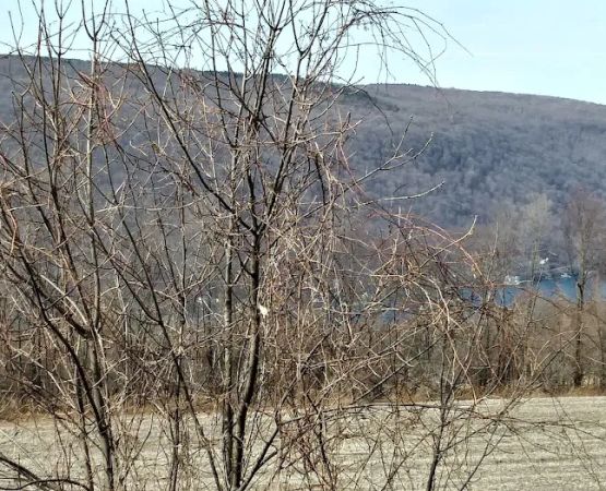 Cottage At Glen Haven