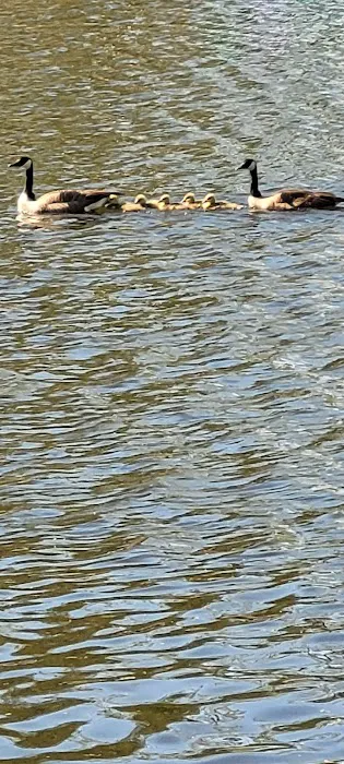 Paradise Cove Campground 2