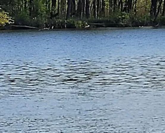 Paradise Cove Campground