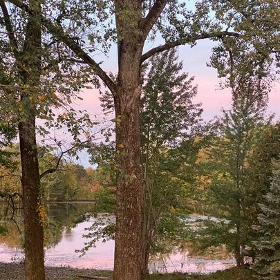 The Landing Campground 7