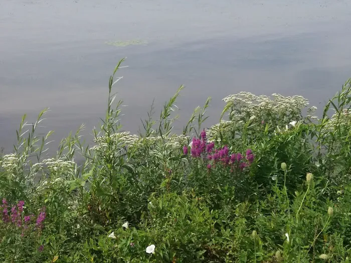 Edgewater Seasonal Campground 4