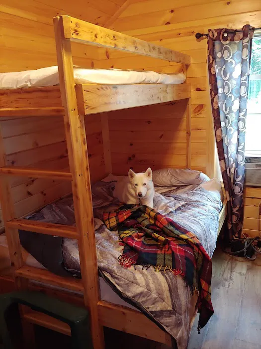 Oneida pines Resort 4