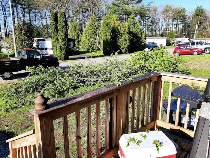 Pyramid Pines Mobile Home Park 1