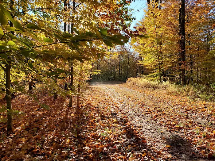 Chapendo Acres Adirondack Camping 1