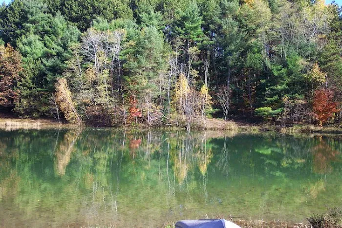 Rustic Barn Campground 7