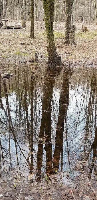 Adirondack Lakeside RV Park 9