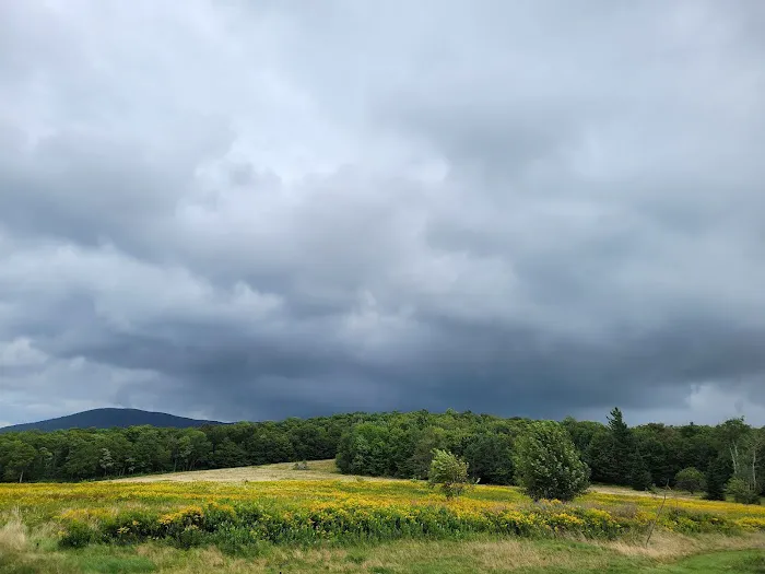 Grateful Acres Vermont 2