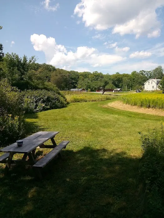 Gus's Gardens Camping 7