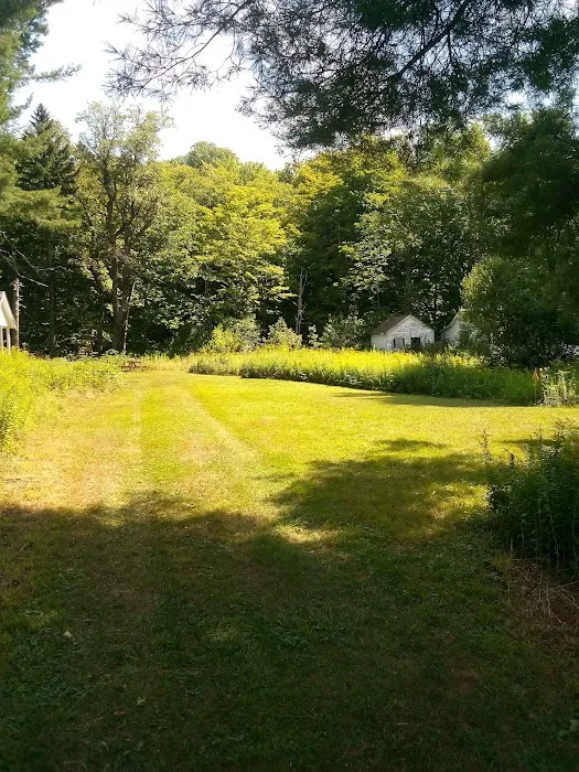 Gus's Gardens Camping 6