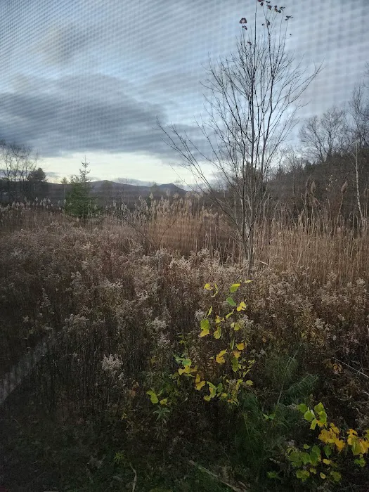 Gus's Gardens Camping 4