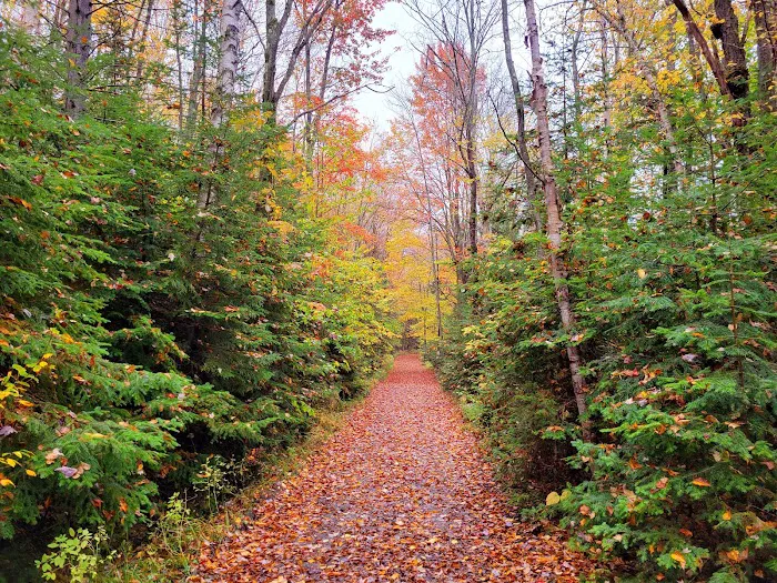 Grout Pond Campsites 5