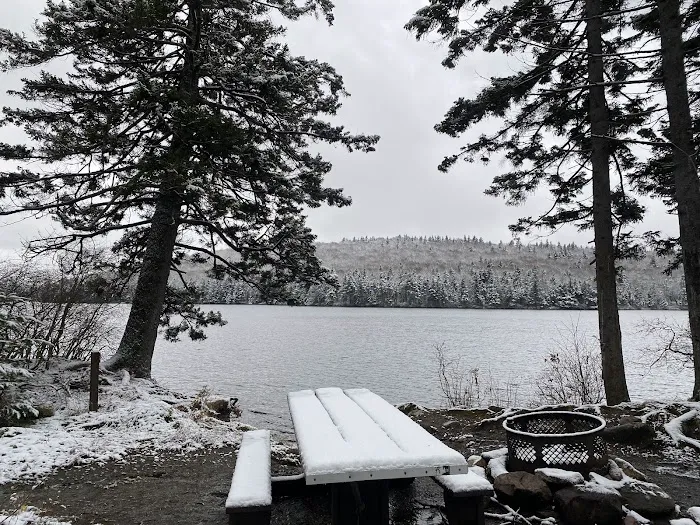 Grout Pond Campsites 2