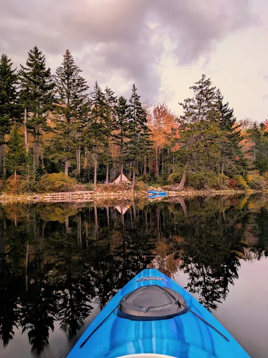 Grout Pond Campsites 3