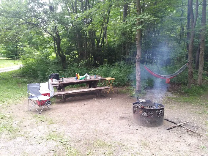 Grout Pond Campsites 4