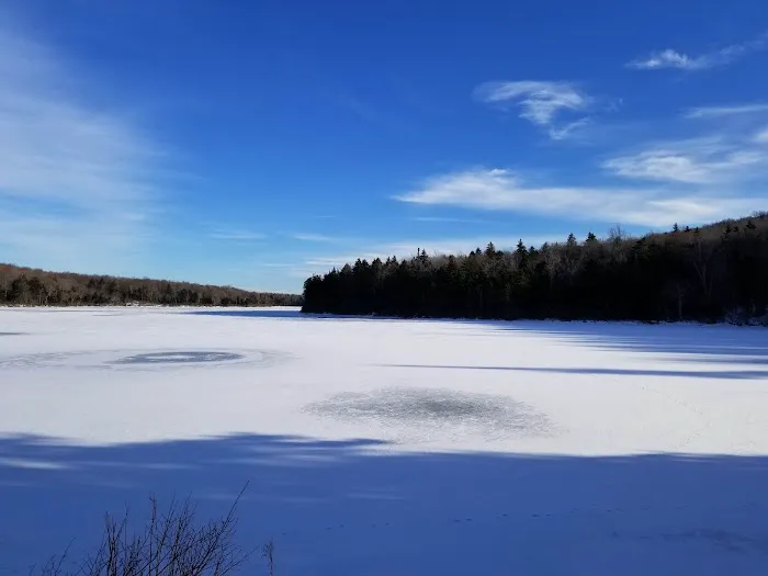 Grout Pond Campsites 8