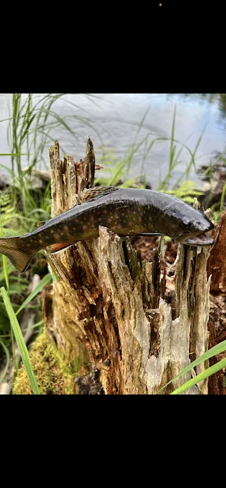 Stratton Off The Trail 0