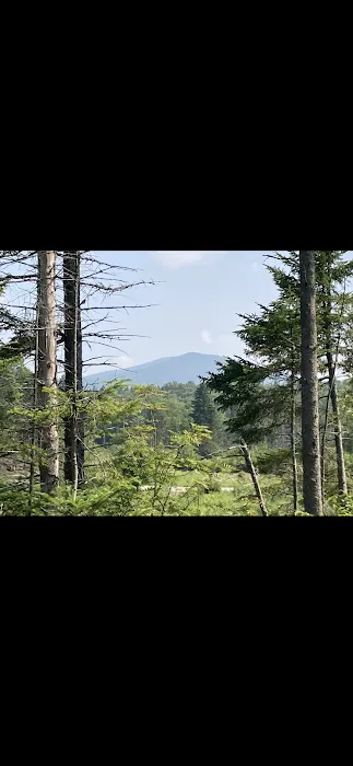 Stratton Off The Trail 5