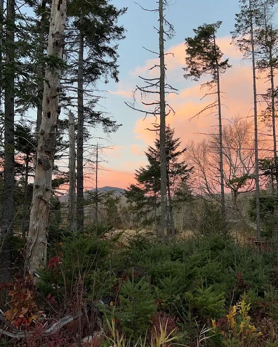 Stratton Off The Trail 4