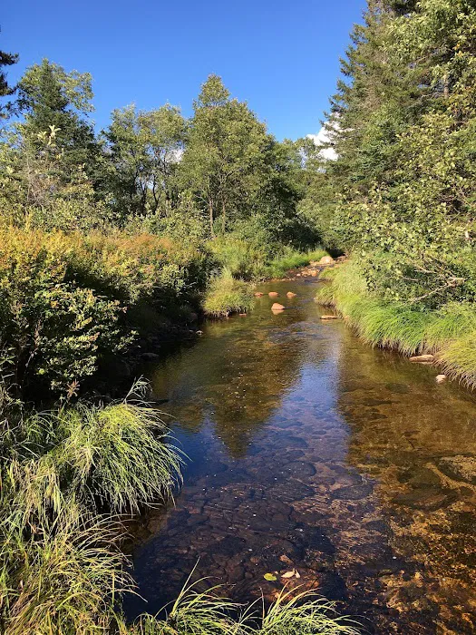 Stratton Off The Trail 1