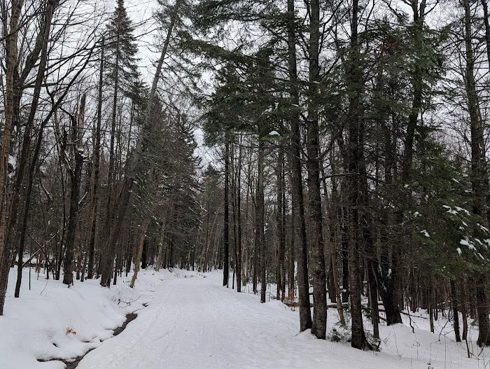 Grout Pond Recreation Area 2