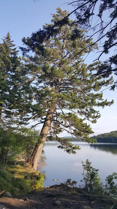 Grout Pond Recreation Area 3