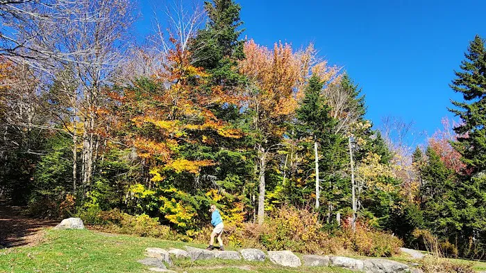 Grout Pond Recreation Area 4