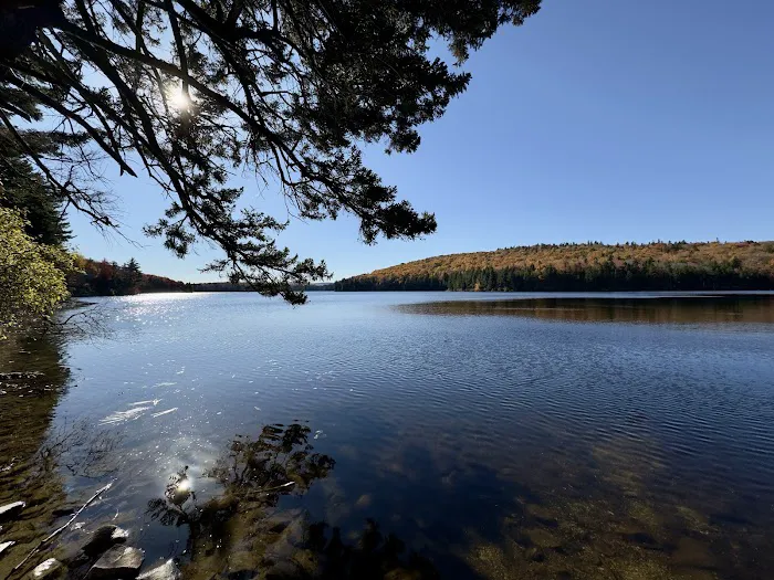 Grout Pond Recreation Area 7