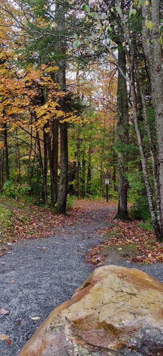 Grout Pond Recreation Area 1
