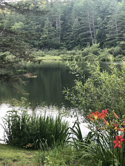 Howell's Camping Area 8