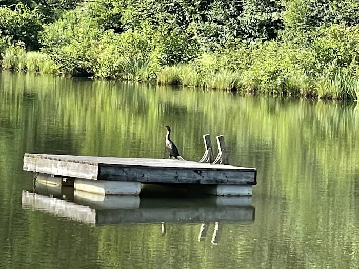 Howell's Camping Area 5