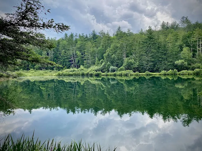 Howell's Camping Area 3