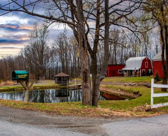 Shadow Hills Farm